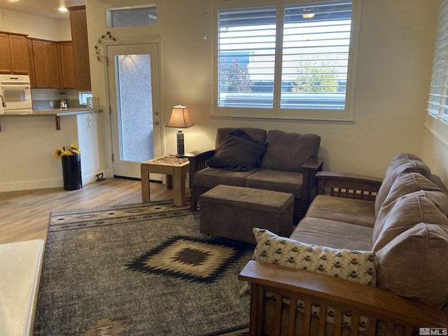 living room featuring light hardwood / wood-style floors