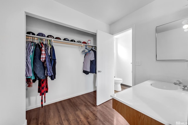 bathroom featuring toilet, vanity, and hardwood / wood-style floors