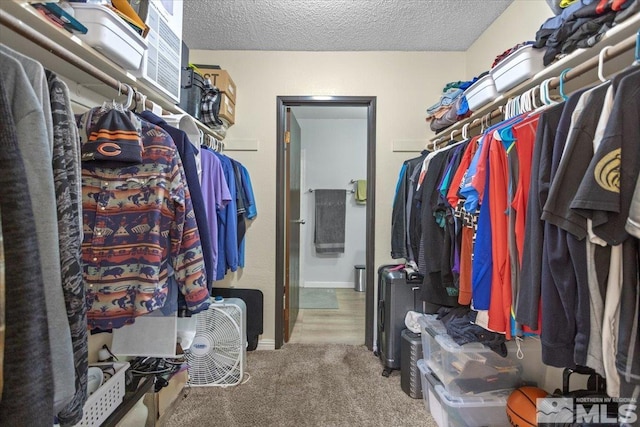 spacious closet with carpet