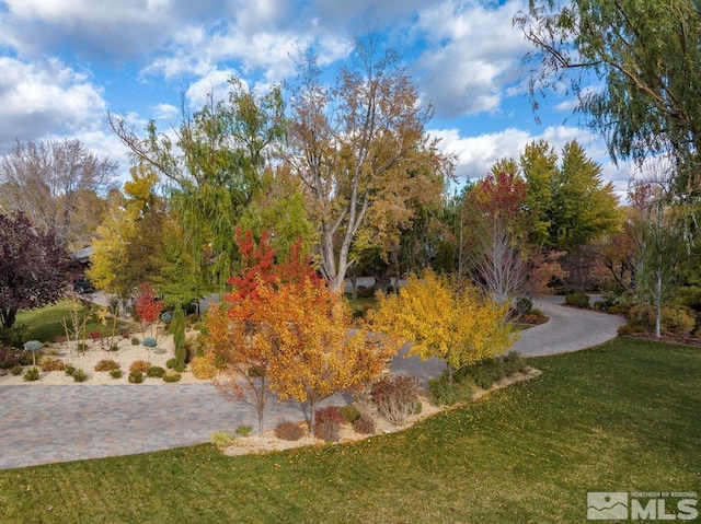 view of property's community with a lawn