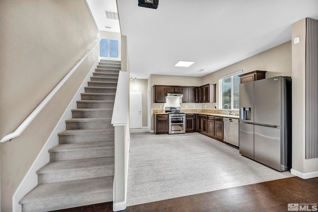 kitchen featuring dark brown cabinets, stainless steel appliances, sink, and light colored carpet