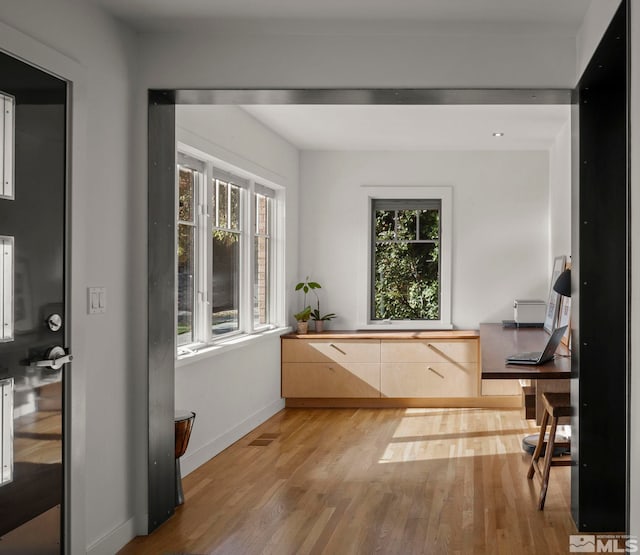 interior space with light hardwood / wood-style floors and plenty of natural light