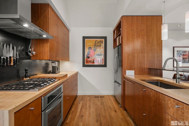 kitchen with wall chimney exhaust hood, sink, light wood-type flooring, and appliances with stainless steel finishes