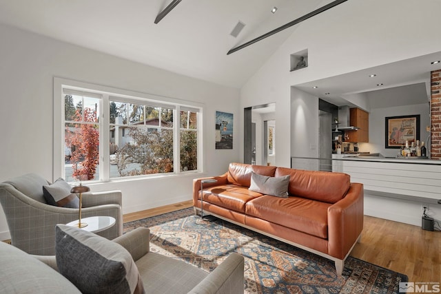 living room with high vaulted ceiling and light hardwood / wood-style flooring