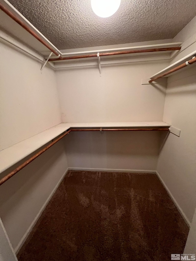 spacious closet with dark carpet