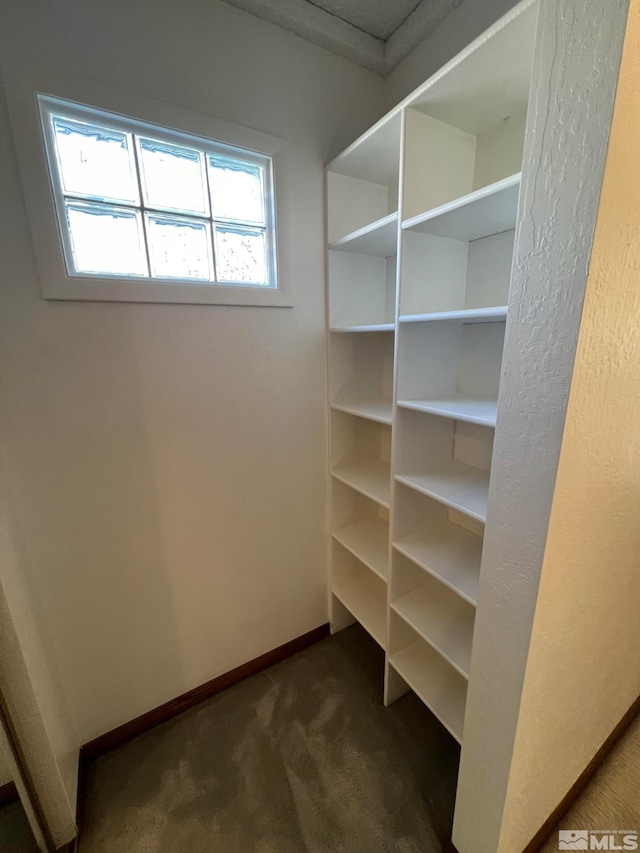 spacious closet with dark colored carpet