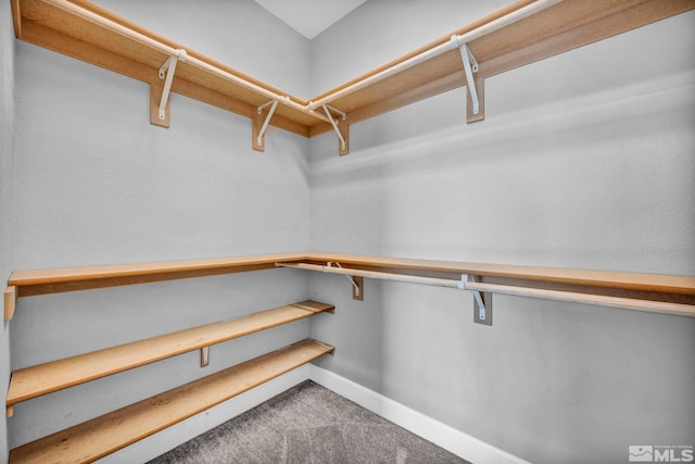 spacious closet featuring carpet floors