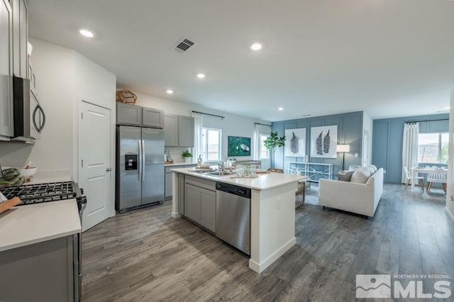 kitchen with a wealth of natural light, gray cabinetry, appliances with stainless steel finishes, and an island with sink