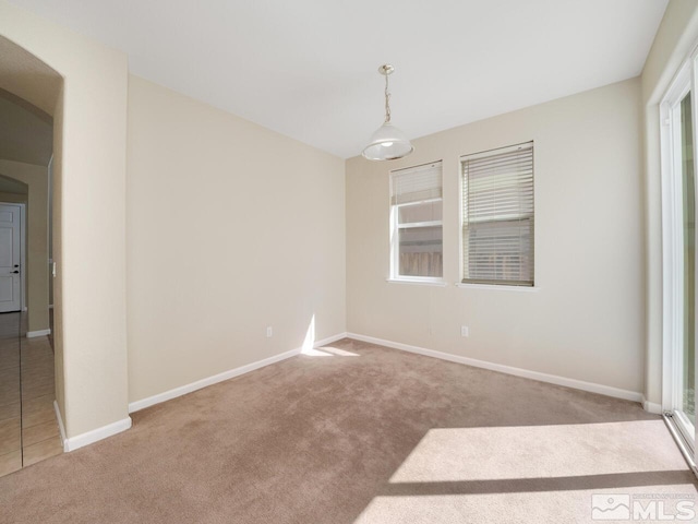 empty room with light carpet and a healthy amount of sunlight