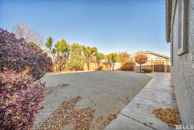 view of yard featuring a patio area