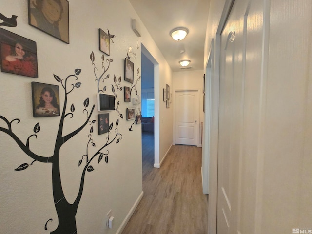 hall featuring hardwood / wood-style flooring