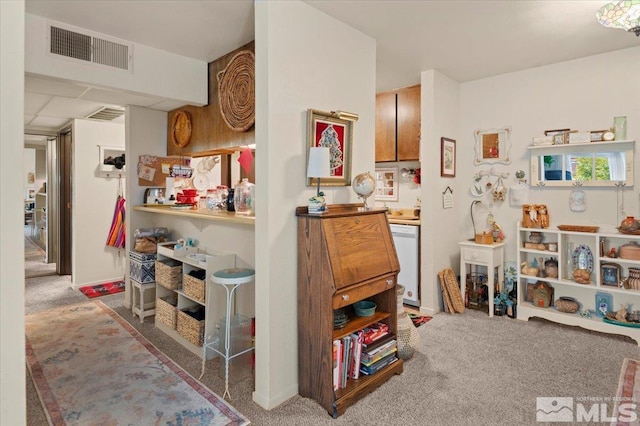 miscellaneous room with carpet floors