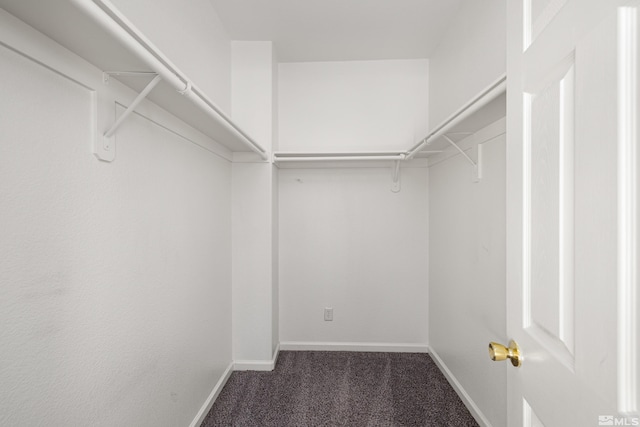 walk in closet featuring dark colored carpet