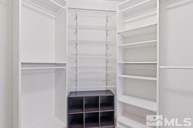 view of walk in closet