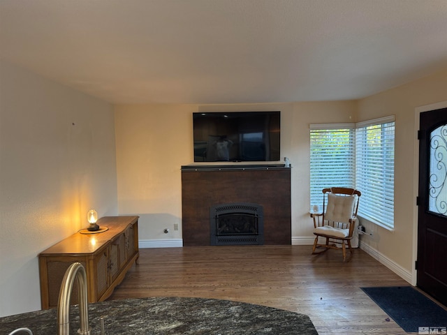 living room featuring wood-type flooring