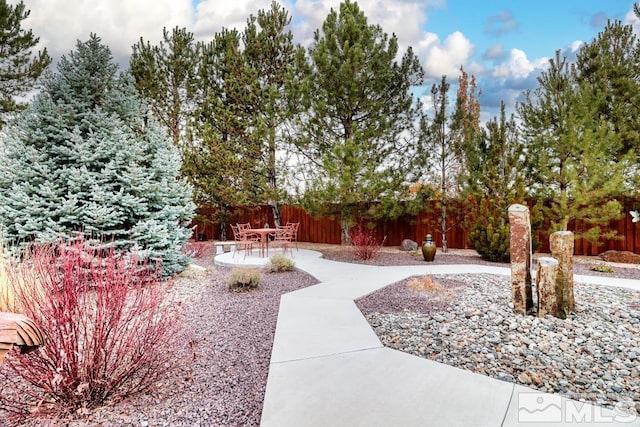 view of yard featuring a patio