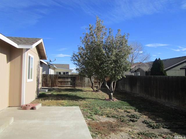 view of yard with a patio