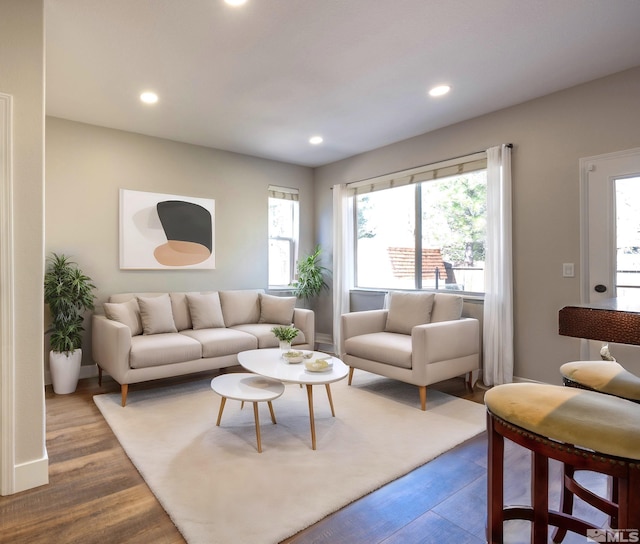 living room with hardwood / wood-style floors