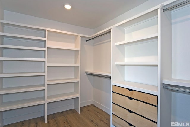 spacious closet with dark hardwood / wood-style flooring