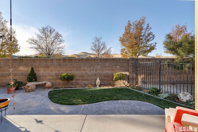 view of yard featuring a patio