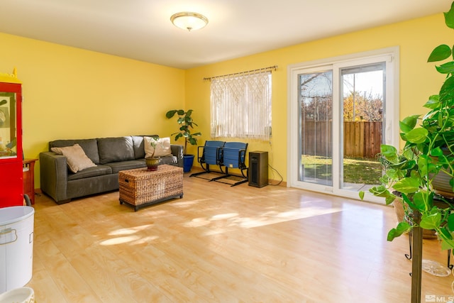 living room featuring light hardwood / wood-style floors