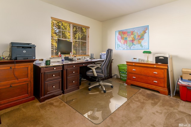 office featuring light colored carpet