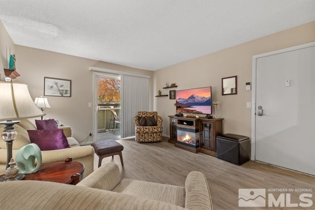 living room with a textured ceiling and light hardwood / wood-style flooring