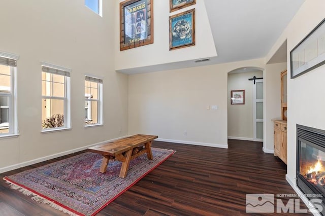 interior space featuring a barn door, dark hardwood / wood-style flooring, and a high ceiling