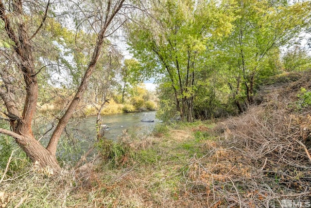 view of local wilderness