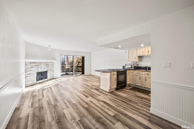 kitchen with a fireplace, hardwood / wood-style floors, black range, and sink