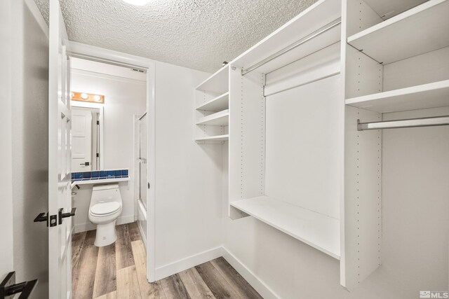 walk in closet featuring wood-type flooring