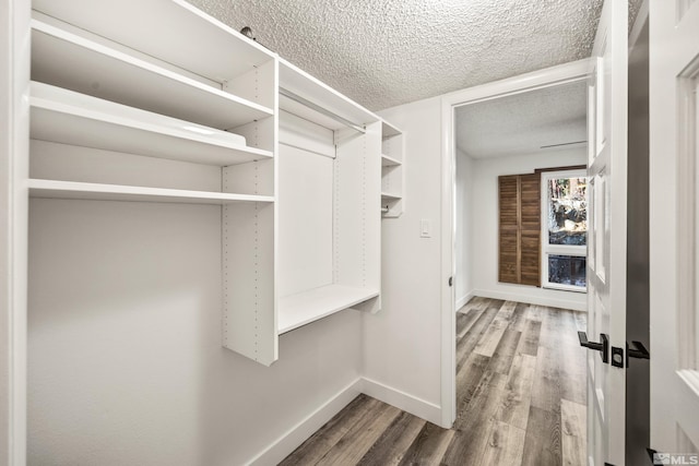 spacious closet with wood-type flooring