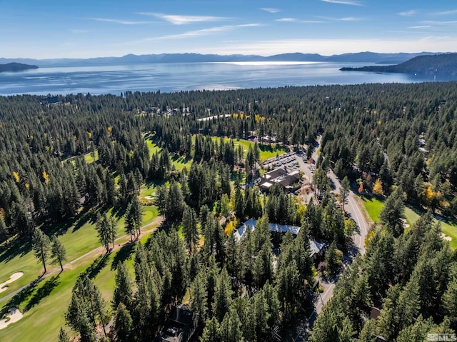 drone / aerial view with a water and mountain view