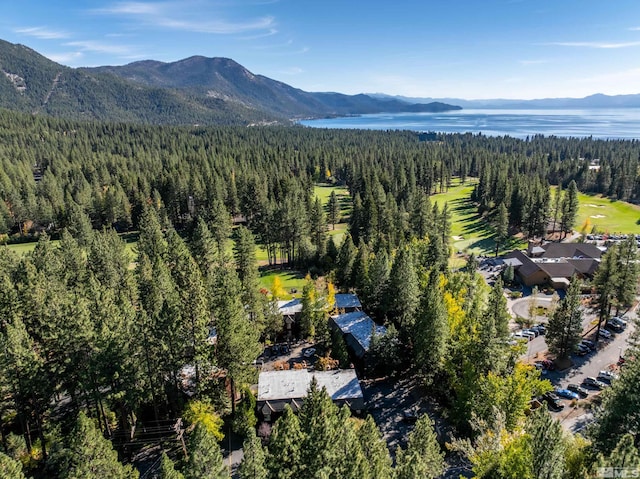 birds eye view of property featuring a water and mountain view