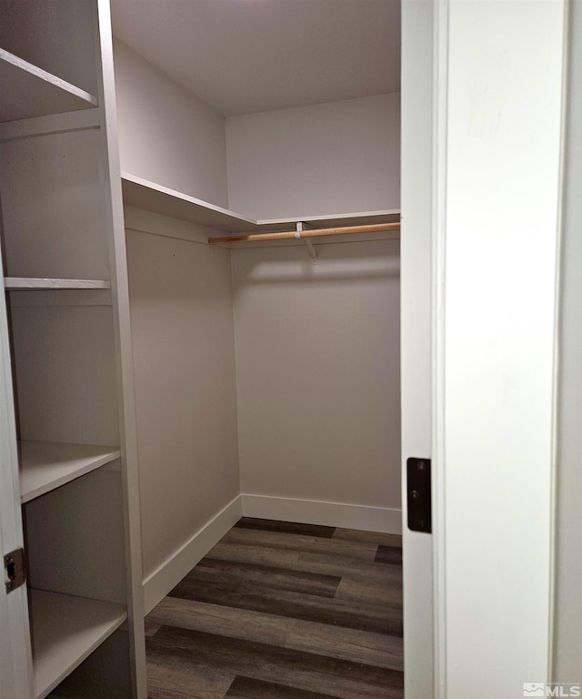 walk in closet featuring dark wood-type flooring