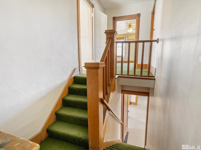 staircase with carpet