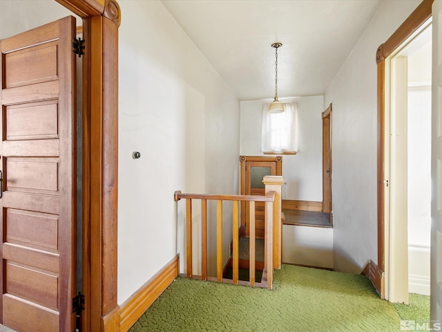 hallway featuring carpet floors