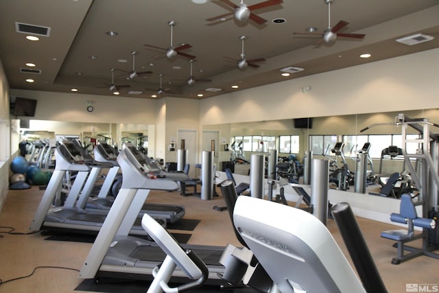 workout area with a towering ceiling and a raised ceiling