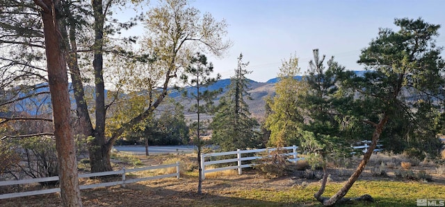 view of yard with a mountain view