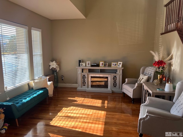 living room with hardwood / wood-style flooring