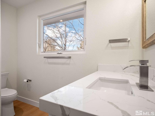 bathroom featuring vanity, toilet, and wood-type flooring