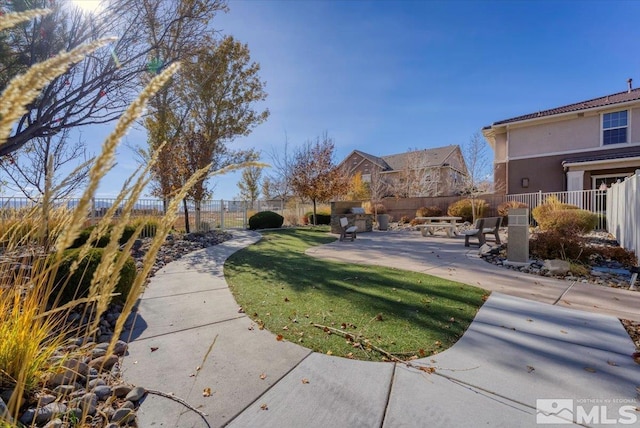 view of yard featuring a patio area