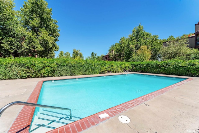 view of swimming pool with a patio