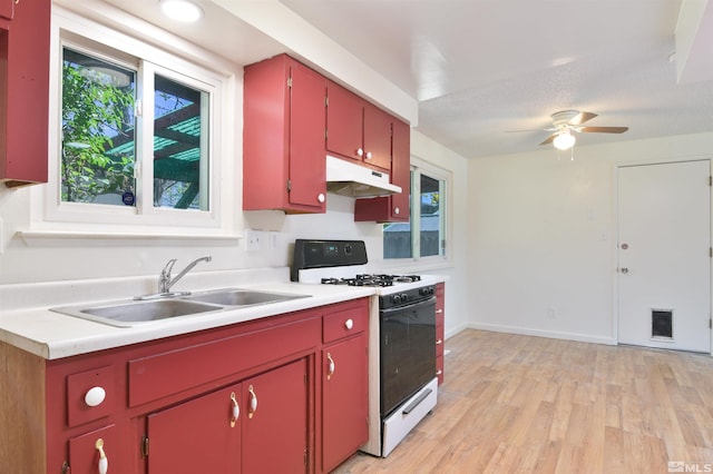 kitchen featuring a textured ceiling, ceiling fan, sink, light hardwood / wood-style flooring, and white range with gas stovetop