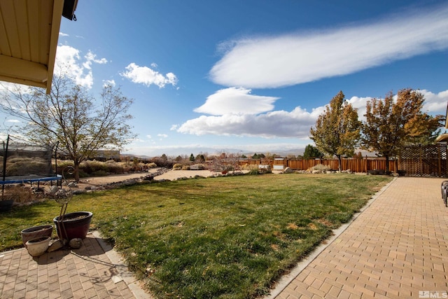 view of yard featuring a patio and a trampoline