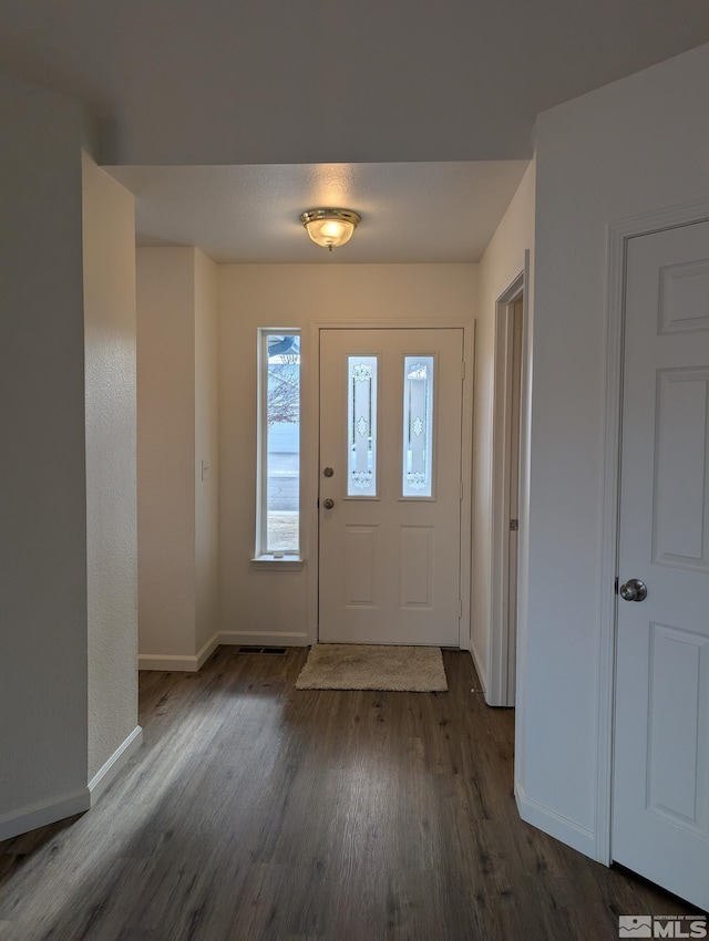 foyer featuring dark wood-type flooring