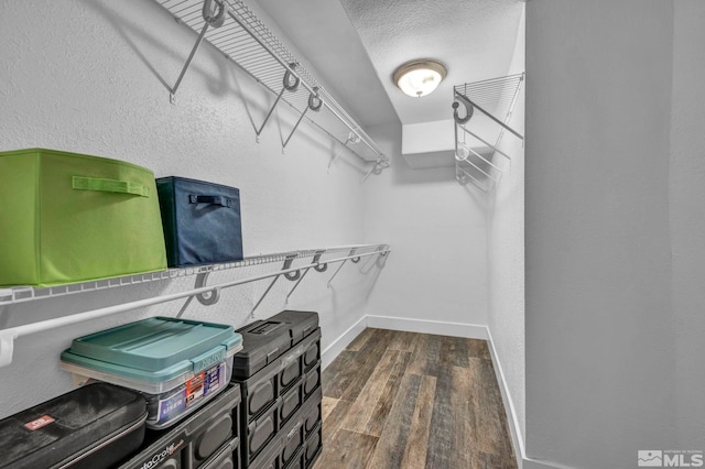 spacious closet featuring dark hardwood / wood-style flooring