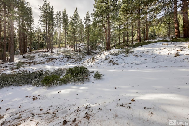 view of snowy landscape