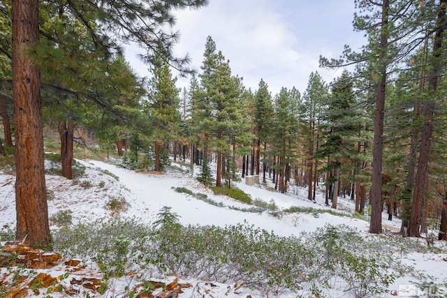 view of snow covered land