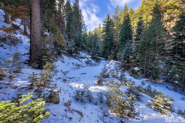 view of snow covered land